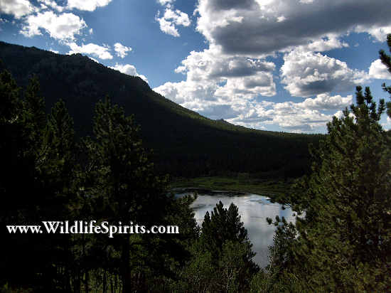 Click Picture to send as an  E-PostCard 65k 550x412
